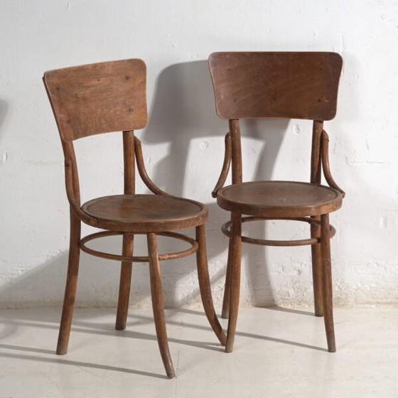 Pair of antique bentwood chairs in the Thonet style – Central Europe, circa 1920 – Dining chairs, Bauhaus (photo 5 of 40)