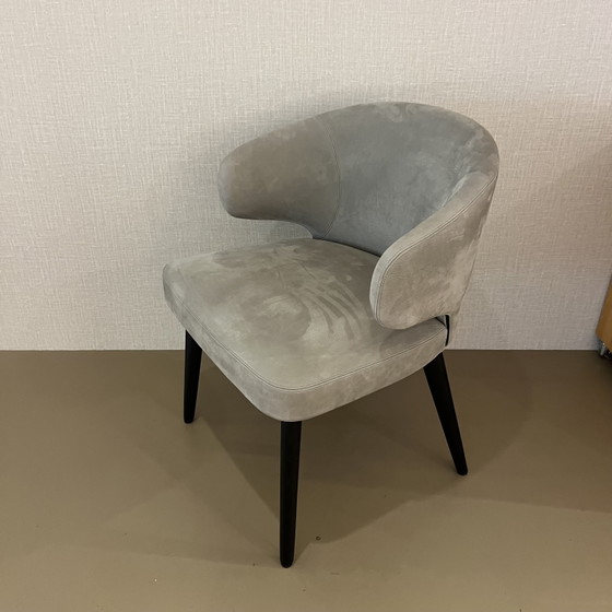 Image 1 of 6x Minotti Aston Esszimmerstühle