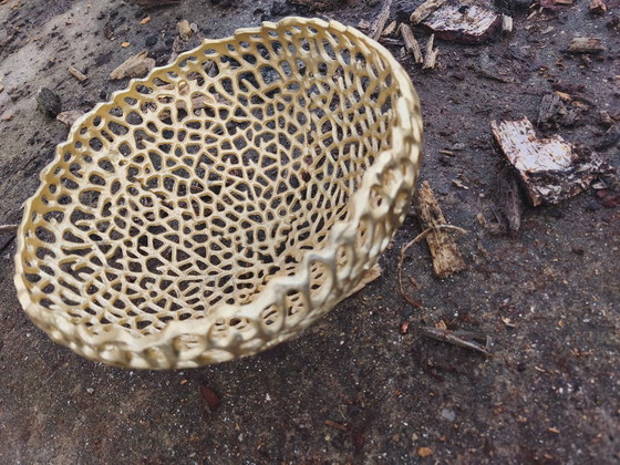 Image 1 of Coupe à fruits branche dorée
