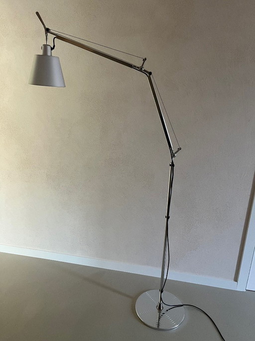 Artemide Tolomeo Basculante Terra gris satiné