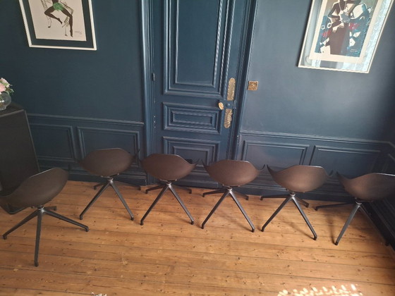 Image 1 of 6 chaises CHISTERA de Roche Bobois