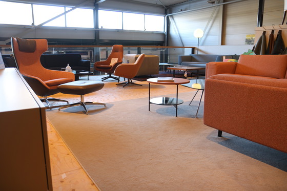 Image 1 of Gray Carpet - Lady Grey