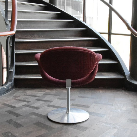 Image 1 of 6 Artifort Little Tulip chairs