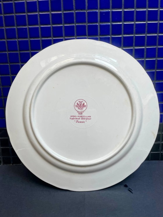 Image 1 of Duo van diepe borden / zeer grote borden Villeroy & Boch_ Fasan / Faisan _ Bleue & Brique