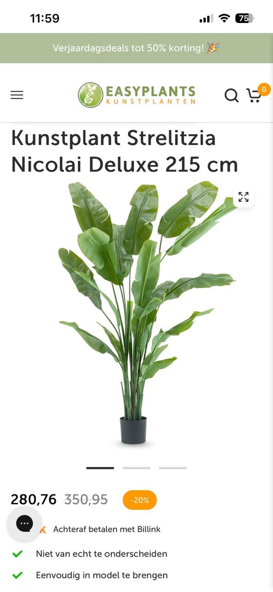 Image 1 of Pot Laos Bronze-Gold + Strelitzia Nicolai XL 230 cm Eric Kuster 