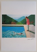 D. Hockney – Portrait lithographique d'un artiste – Encadré
