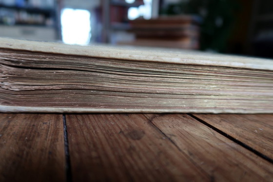 Image 1 of Livre illustré français ancien "Mon Ami L'Oiseau Bleu" de Guy Chantepleure, c.1900 – Art Nouveau – 2C43