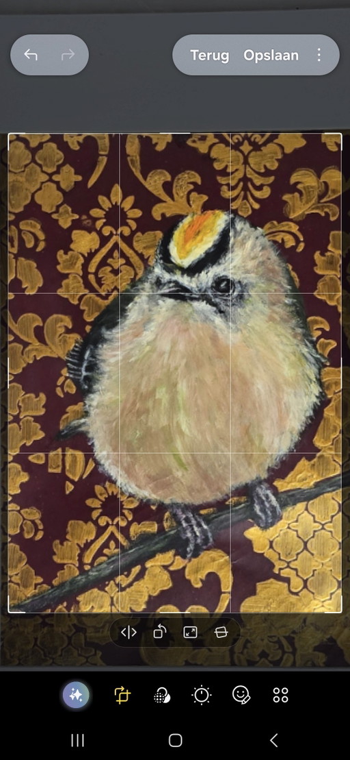 Goldcrest – schilderijen tekeningen, Paper, Canvas (photo 2 of 6)