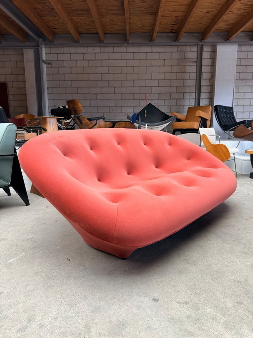 Ligne Roset Ploum 2-Sitzer-Sofa von R. & E. Bouroullec