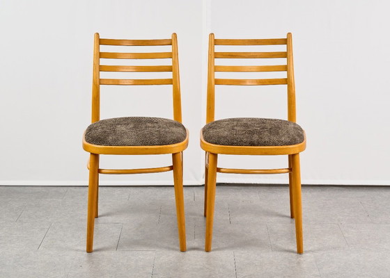 Set di 4 Sedie da pranzo, di TON, anni '60, Cecoslovacchia – Tessile, Legno (photo 12 of 20)