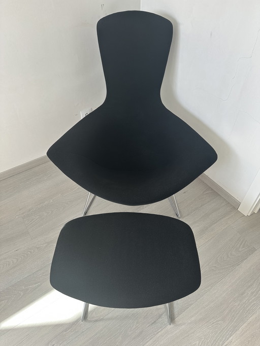 Fauteuil oiseau Knoll et pouf Bertoia