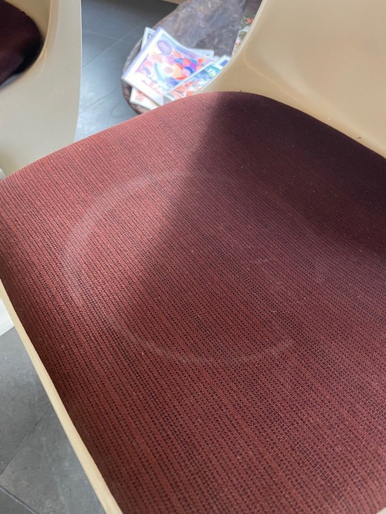 Image 1 of 5 sedie Casala Casalino – Alexander Begge (2001) – Vintage Design Classic