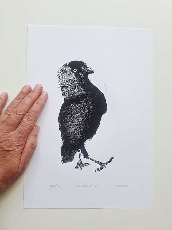 Grabado/ Linograbado pájaro/ grajilla – M. Jaspers, Láminas artísticas, Papel (photo 5 of 6)