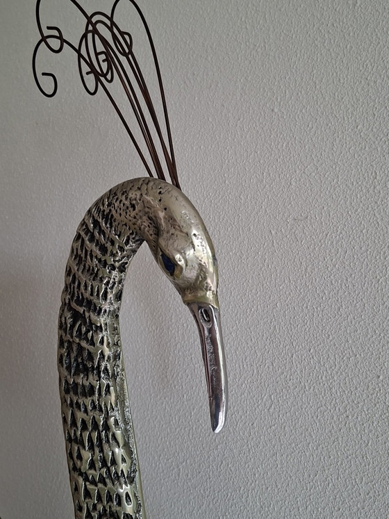 Image 1 of Pauw Curtis Jere