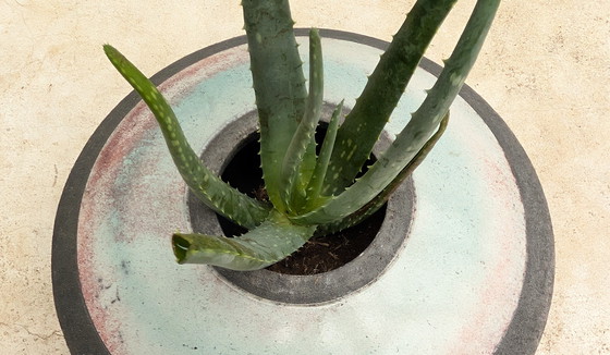 Image 1 of Jarrón/Maceta: Platillo Volador de Cerámica Raku.