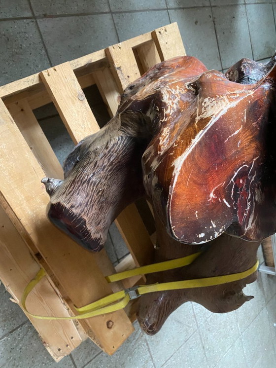 Image 1 of Carrot plant holder