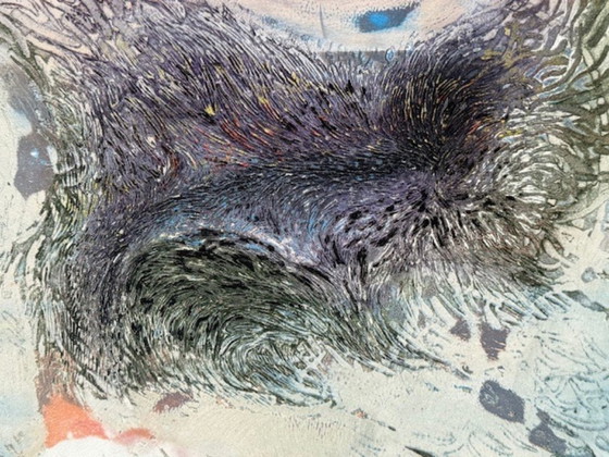 Image 1 of Litografia "Metamorfosi" di Shirley Estelle Witebsky