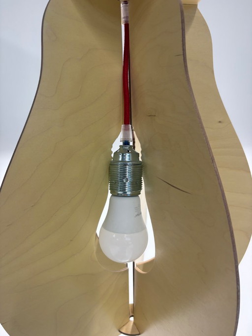 Lande Illuminate hanglamp