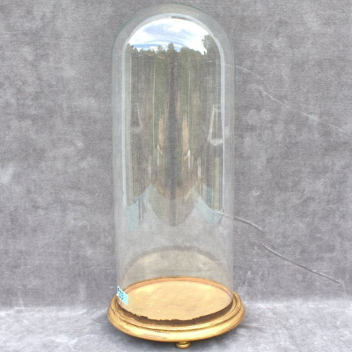 Antike runde Glasglocke 50 x 19,5 cm