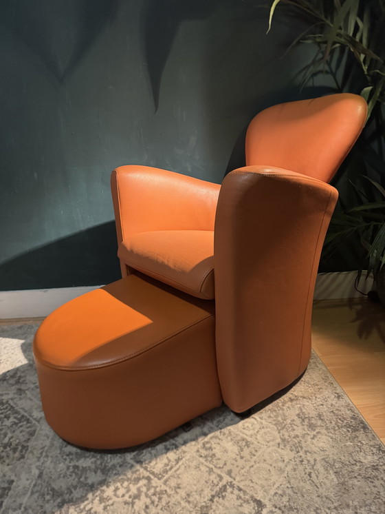 Image 1 of Poltroncina Amphora Leolux Design Moderno Leer