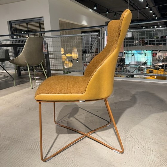 Image 1 of Bert Plantagie Iuno eetkamerstoel