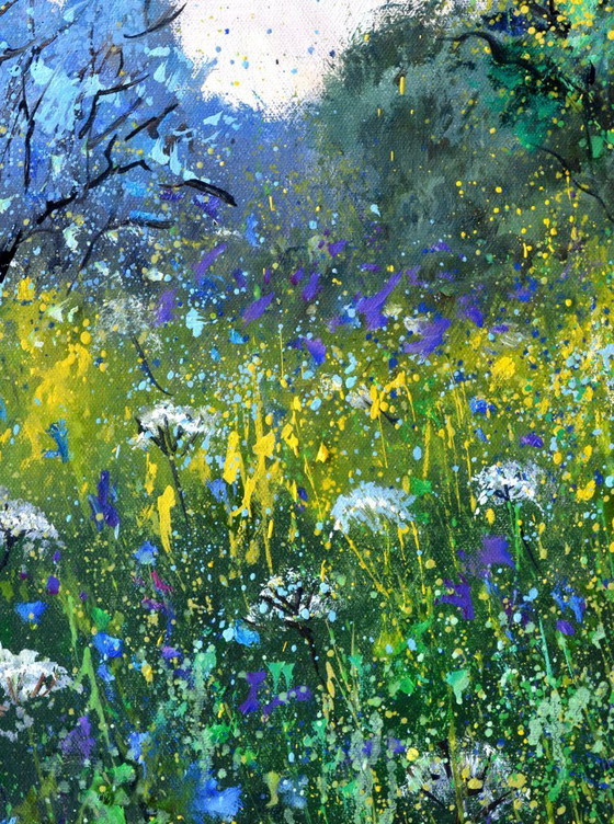 Image 1 of White and blue wild flowers