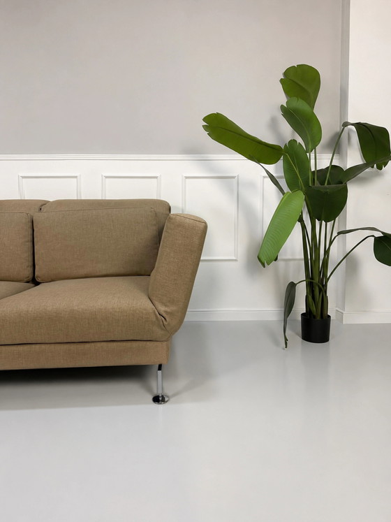 Image 1 of Brühl Moule Sofa Beige Sand Schlafsofa Designer Couch Chrom