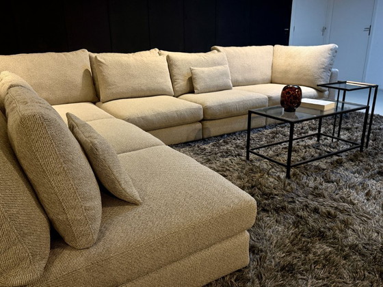 Image 1 of Linteloo Mauro