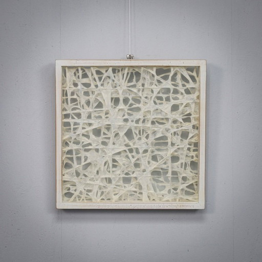 Organische vezelkunstcompositie in een glazen schaduwdooslijst, jaren 1990