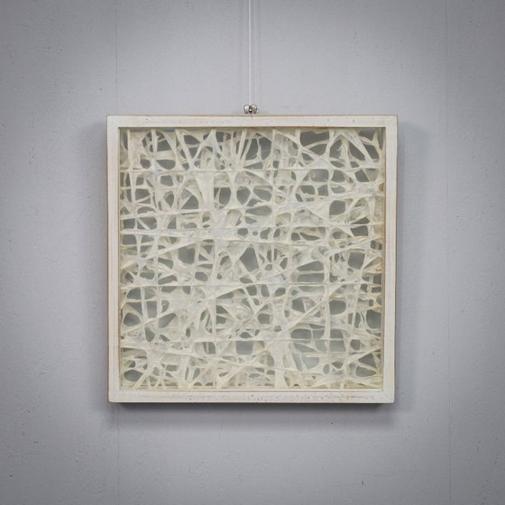 Image 1 of Organische vezelkunstcompositie in een glazen schaduwdooslijst, jaren 1990