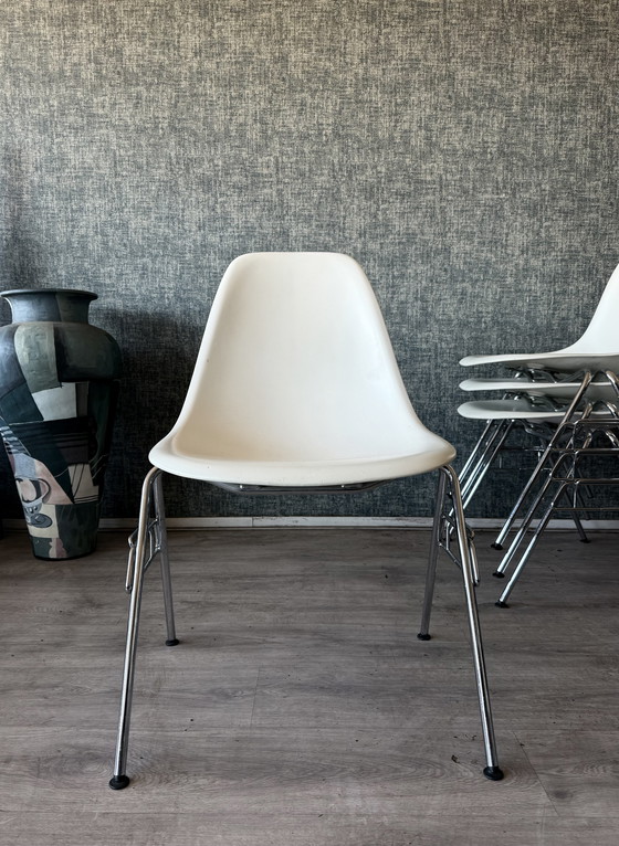 Image 1 of 8 sedie laterali in plastica Vitra Eames RE DSS – Charles & Ray Eames