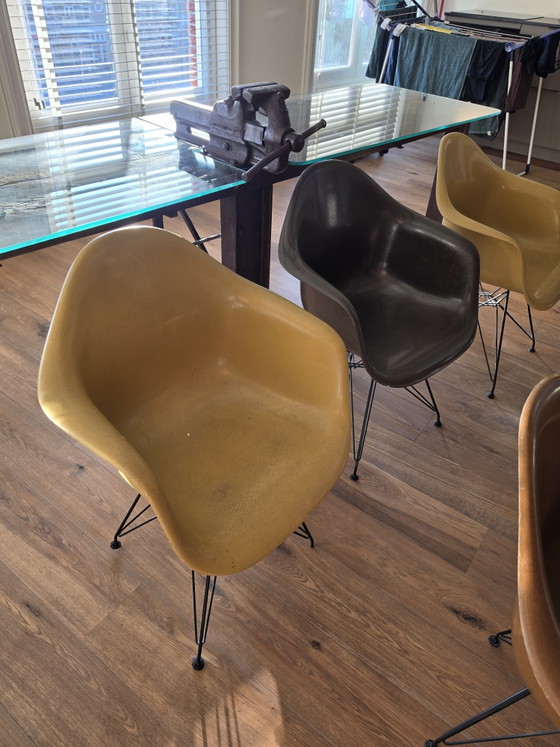 Image 1 of 6 sillones originales Herman Miller Eames de fibra de vidrio – Charles y Ray Eames