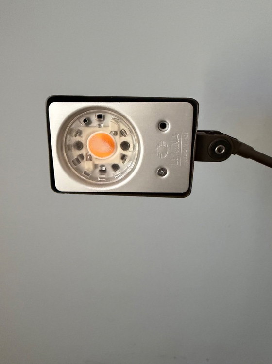 Image 1 of Daphine Terra LED - Lumina