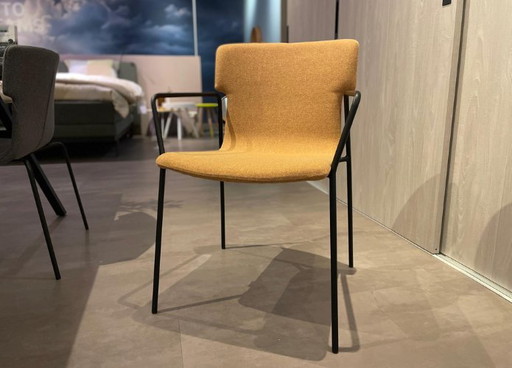 Copia de seguridad de Banne