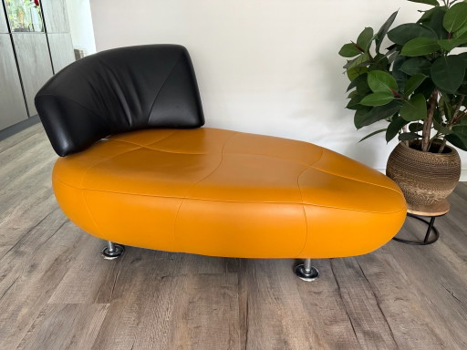 Leolux Kikko Chaise Longue. Giallo Nero pelle