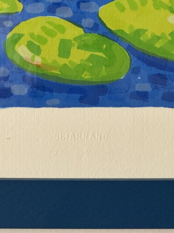 3. Zeefdruk van Mimmo Sciarrano, 25x70cm Waterlelies in een lijst – Litho's & Zeefdrukken, Paper, Wood (photo 3 of 5)