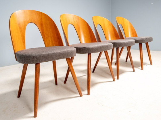 Image 1 of Chaises de salle à manger Antonín Šuman, Tatra Nábytok, Tchécoslovaquie 1960