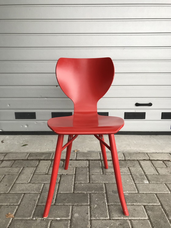 Image 1 of 3x chaises design Linteloo Tulipani