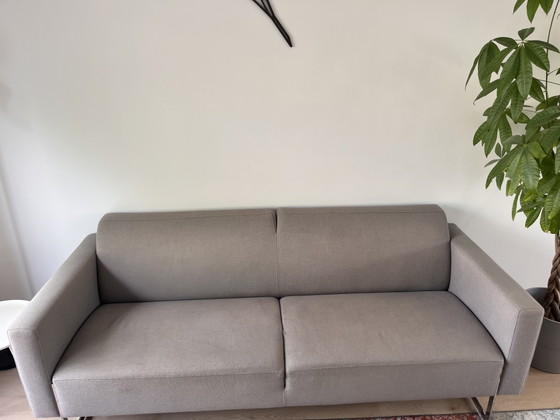 Artifort Mare 2,5 Zita – 2 seaters, polished steel, Wool (photo 2 of 8)