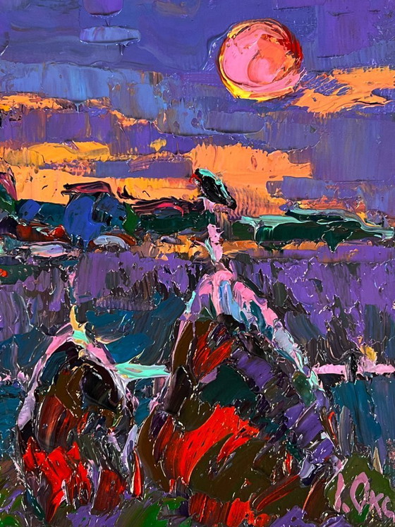 Image 1 of The Moon Illuminates the Field