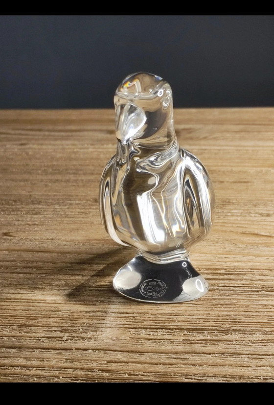 Image 1 of Perruche Baccarat