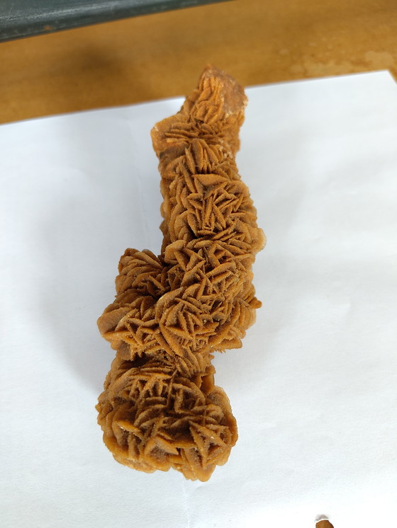 Image 1 of Rosa di sabbia rosa del deserto rosa di gesso lunga 15 cm