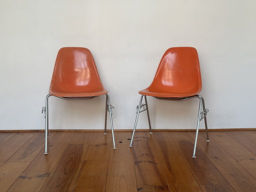 Sedie Herman Miller Eames DSS