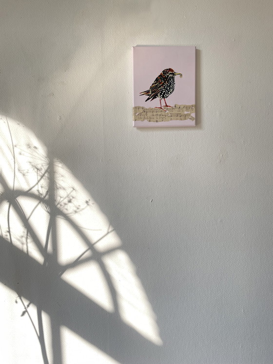 Image 1 of Retrato de un joven estornino