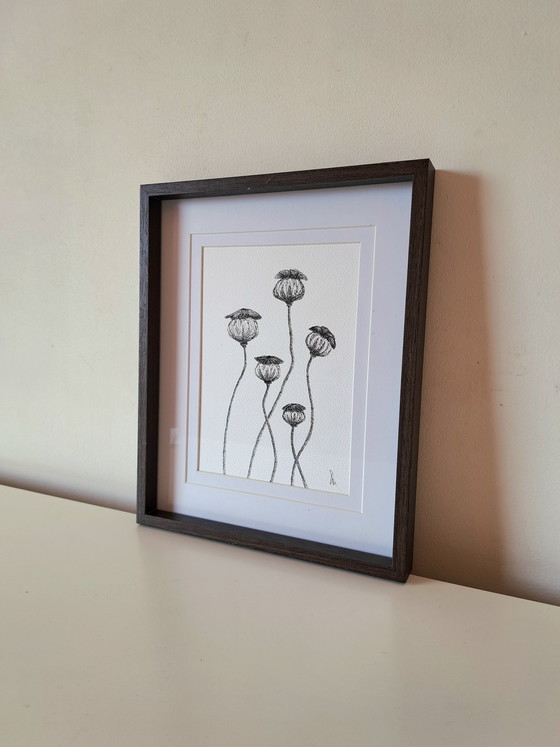 Image 1 of Botanical illustration Poppy original in frame
