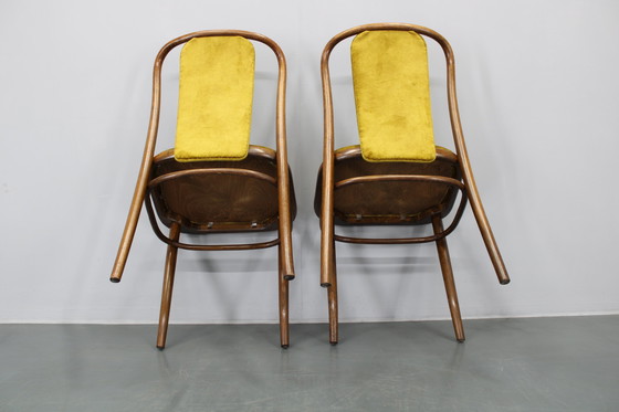 Image 1 of Juego de cuatro sillas de comedor de madera curvada de haya restauradas de la década de 1970, de TON, Checoslovaquia