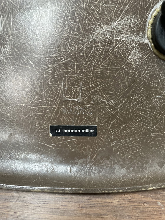 Image 1 of Sedia Eames Herman Miller Vintage in fibra di vetro con base Eiffel