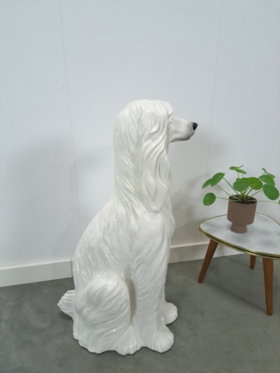 Image 1 of Large Italian ceramic statue of a dog