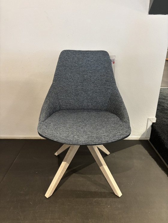 Image 1 of sedia da pranzo in acero bert plantagie