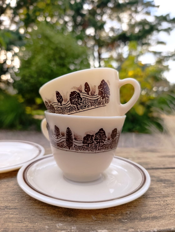 2 tazze / sottotazze vetro opalino decoro bucolico, JAJ Pyrex England – Accessori da tavola (photo 4 of 7)